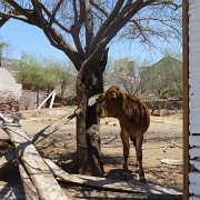 Baja2011 723 : Baja2011